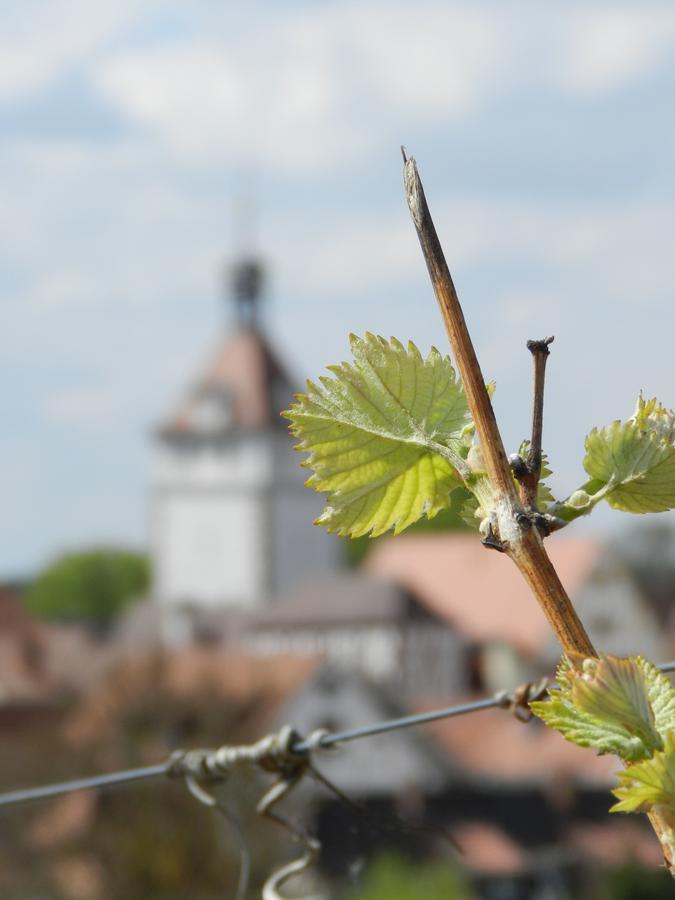 Gaestehaus Am Westtor Hotel Prichsenstadt Bagian luar foto