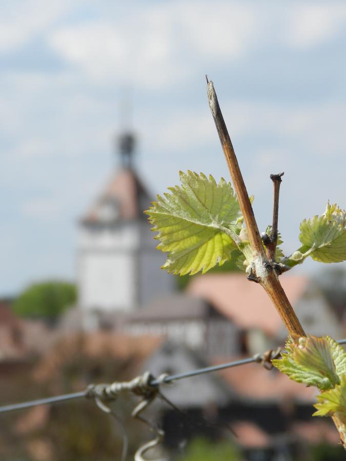 Gaestehaus Am Westtor Prichsenstadt Bagian luar foto